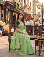 Cotton Khadi Ginni saree